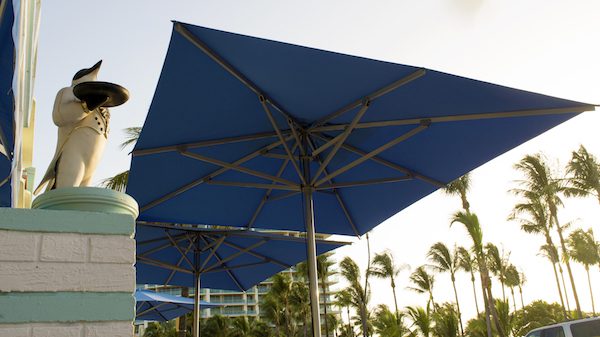 Penguin hotel miami poggesi umbrella